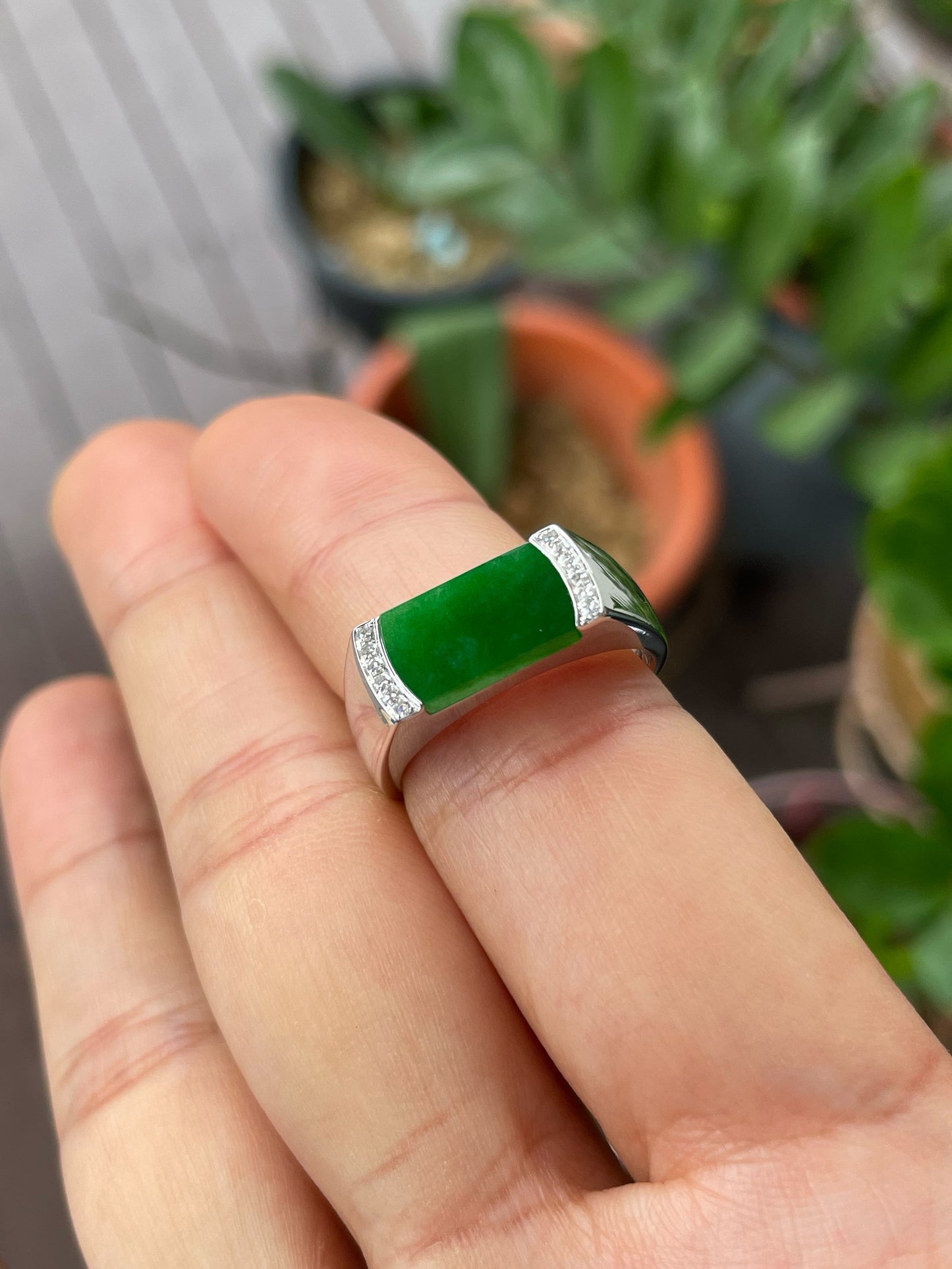 Green Jadeite Ring (NJR330)