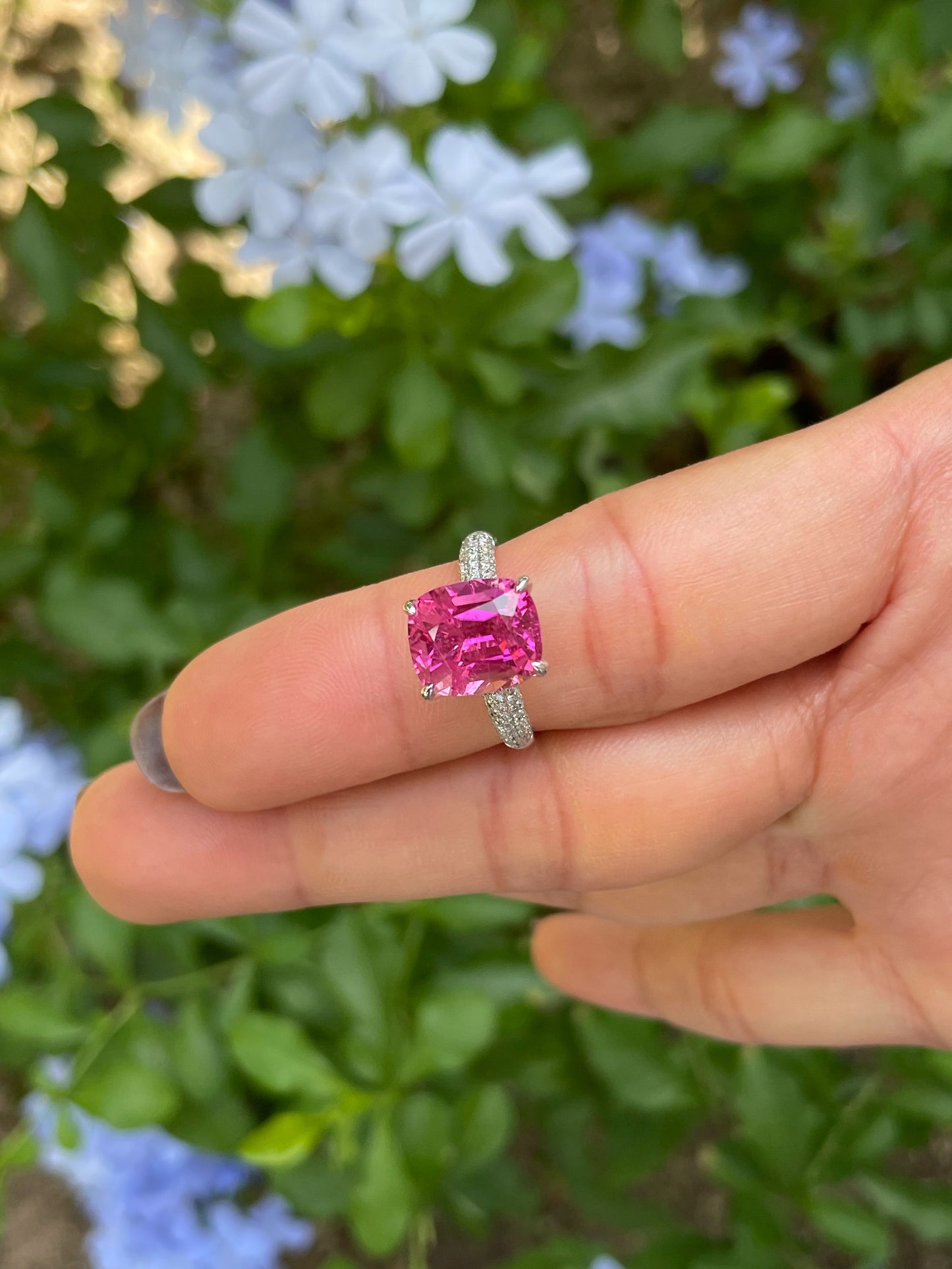 Pink Tourmaline Ring - 4.8CT (NJR370)
