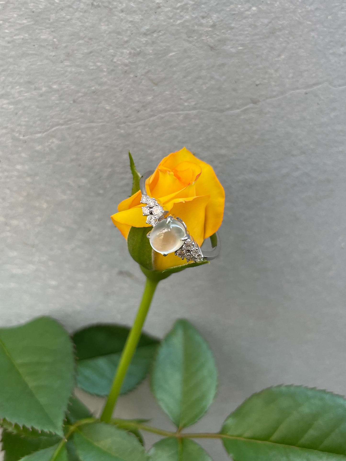 Glassy Cabochon Jade Ring (NJR372)