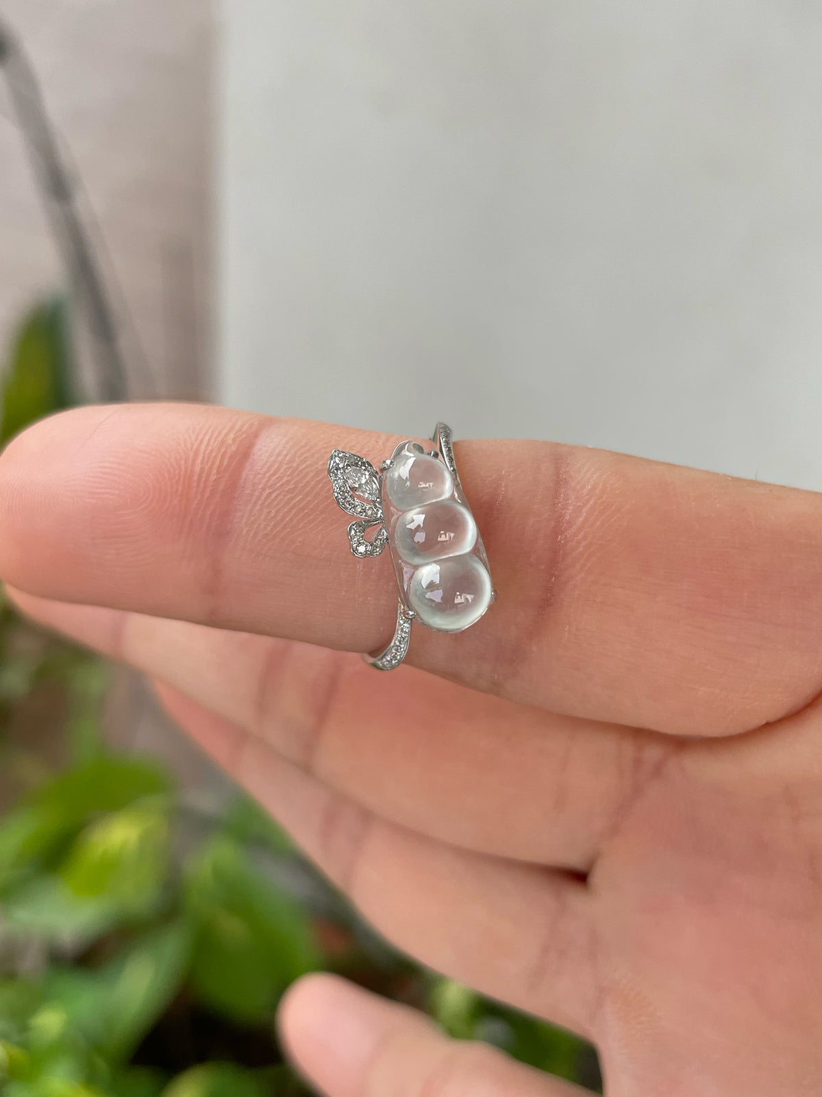 Glassy Jadeite Ring - Peapod (NJR380)