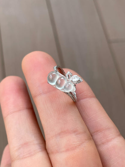 Glassy Jadeite Ring - Peapod (NJR380)