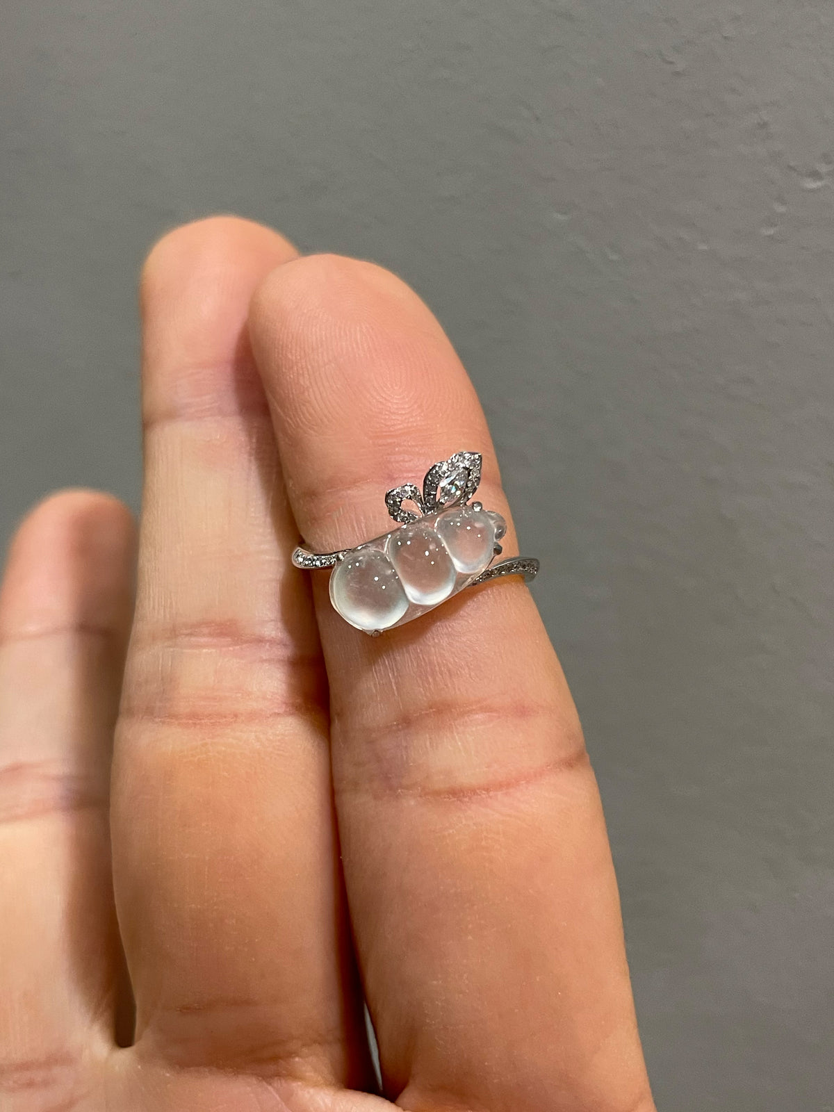 Glassy Jadeite Ring - Peapod (NJR380)