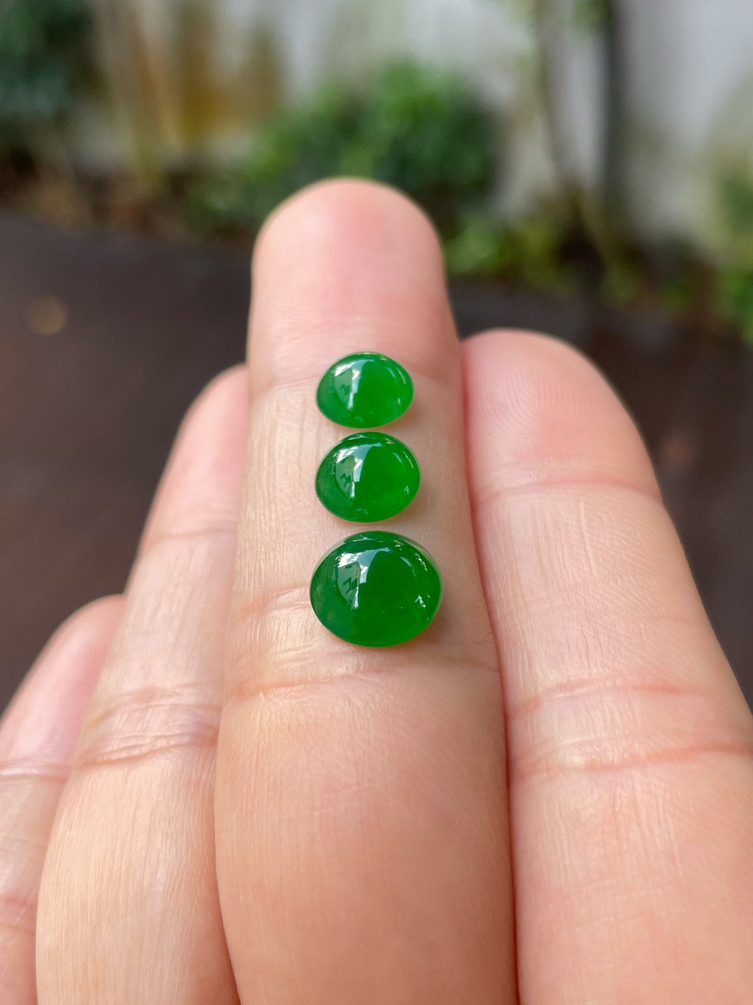 Green Jadeite Cabochons Set (NJS012)