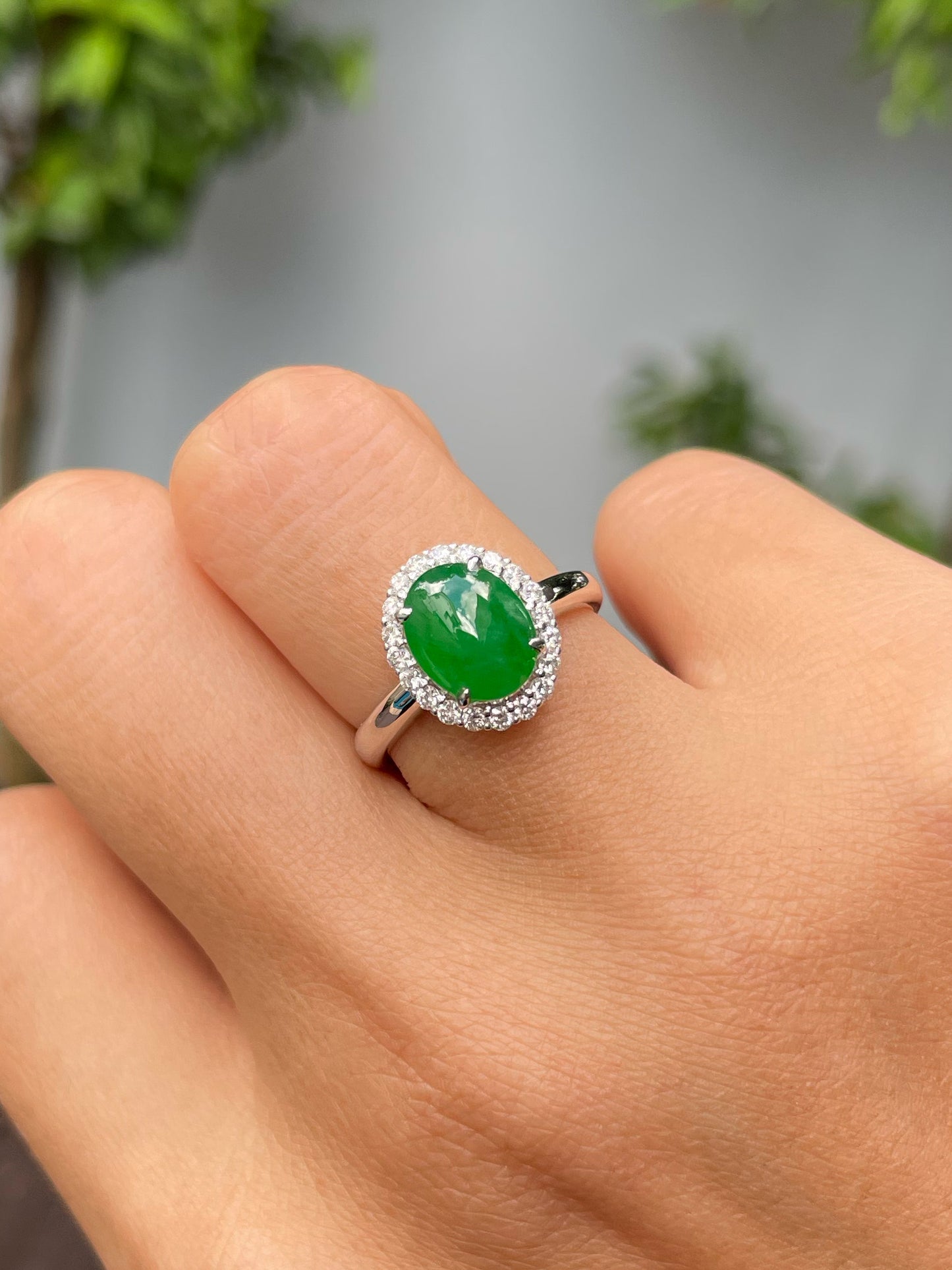 Green Jadeite Cabochons Set - Ring & Earrings (NJS013)