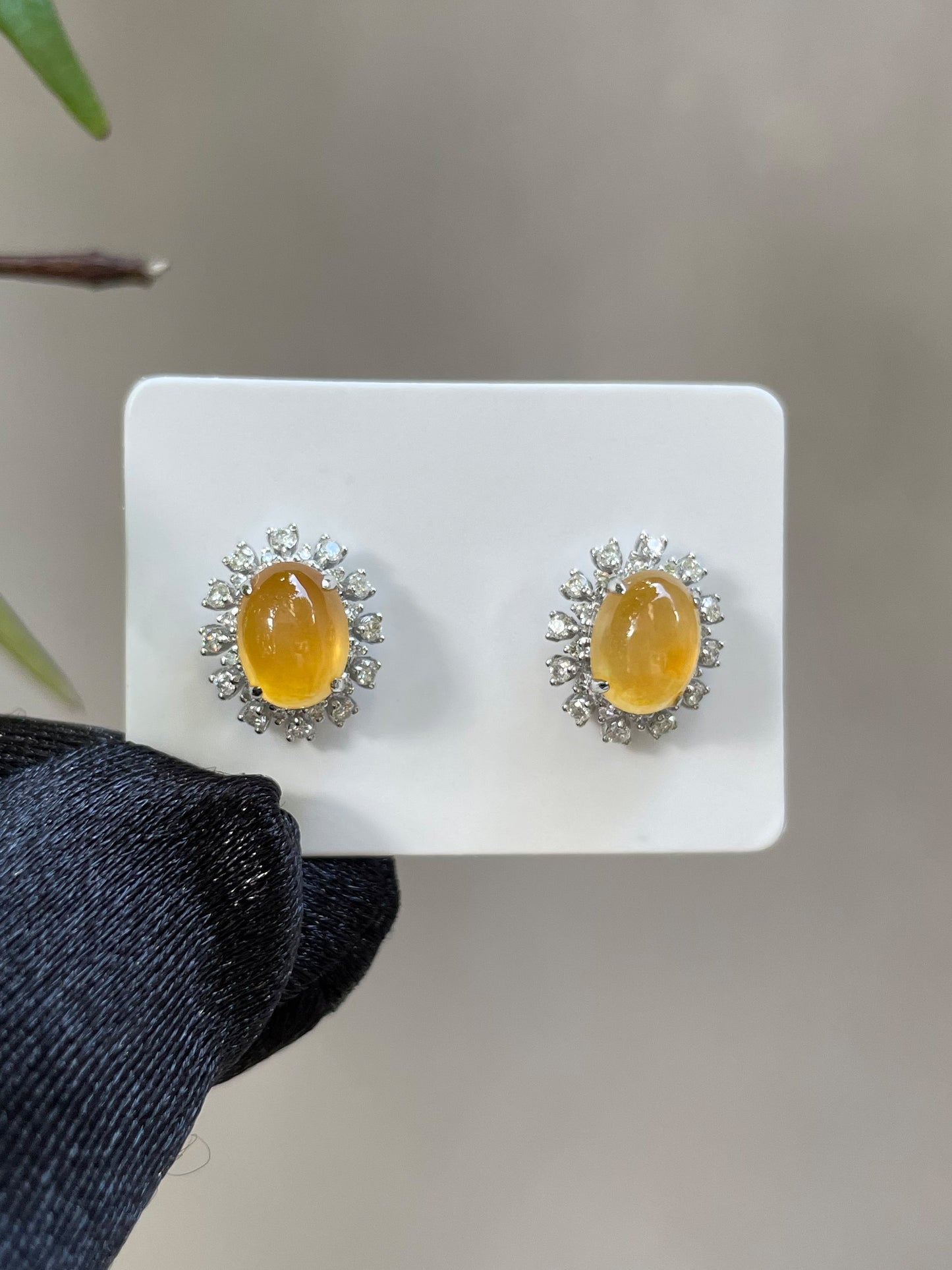 Yellow Jadeite Cabochon Earrings (NJE015)