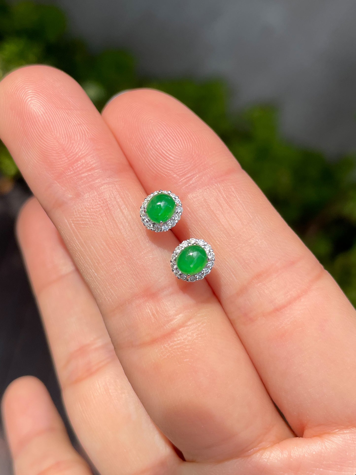 Green Jadeite Cabochon Earrings (NJE018)