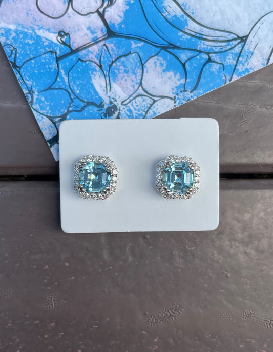 Aquamarine Earrings - 2.75CT (NJE022)