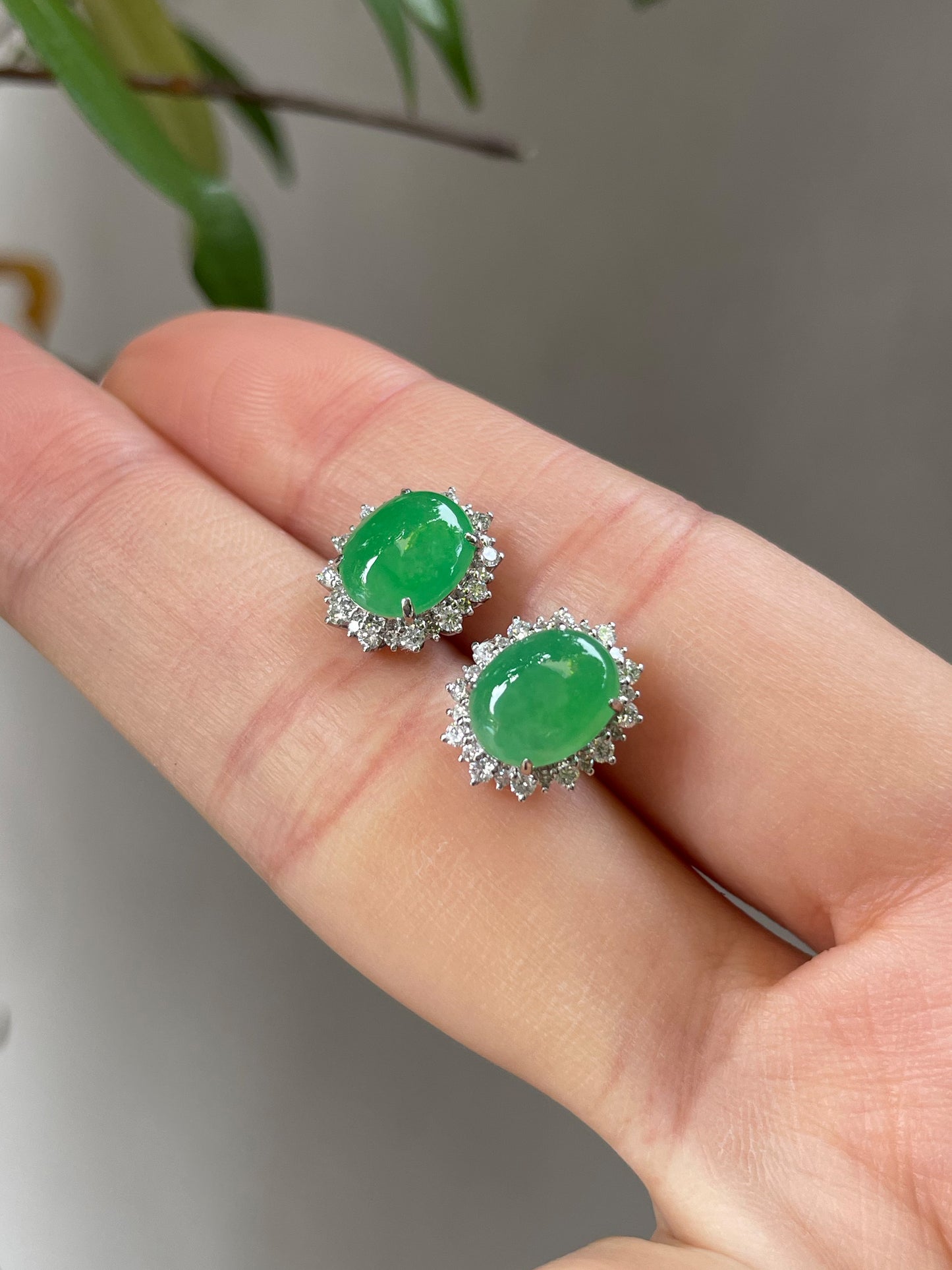 Green Jade Cabochon Earrings (NJE029)