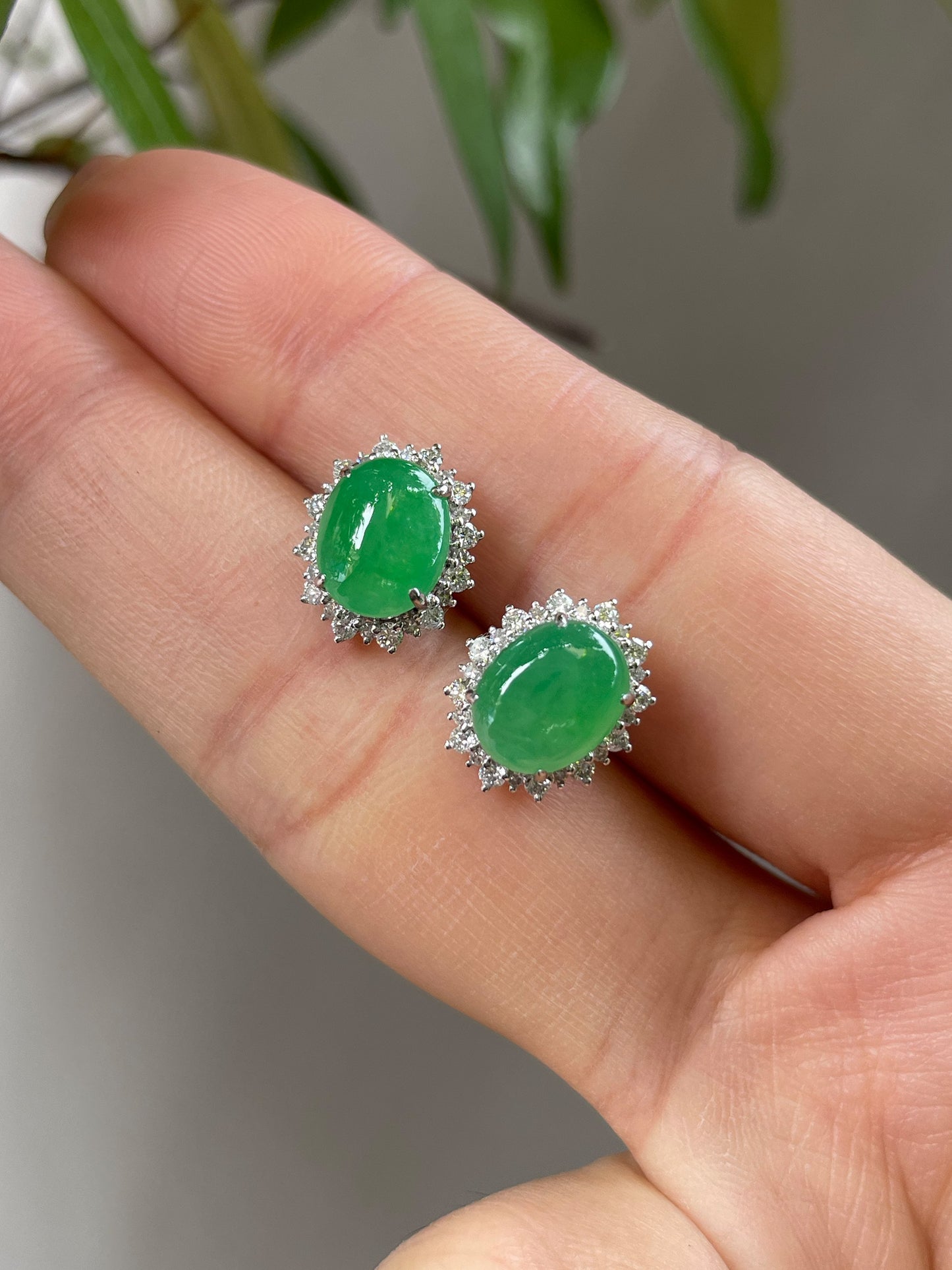 Green Jade Cabochon Earrings (NJE029)