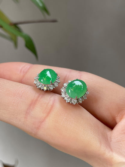 Green Jade Cabochon Earrings (NJE029)