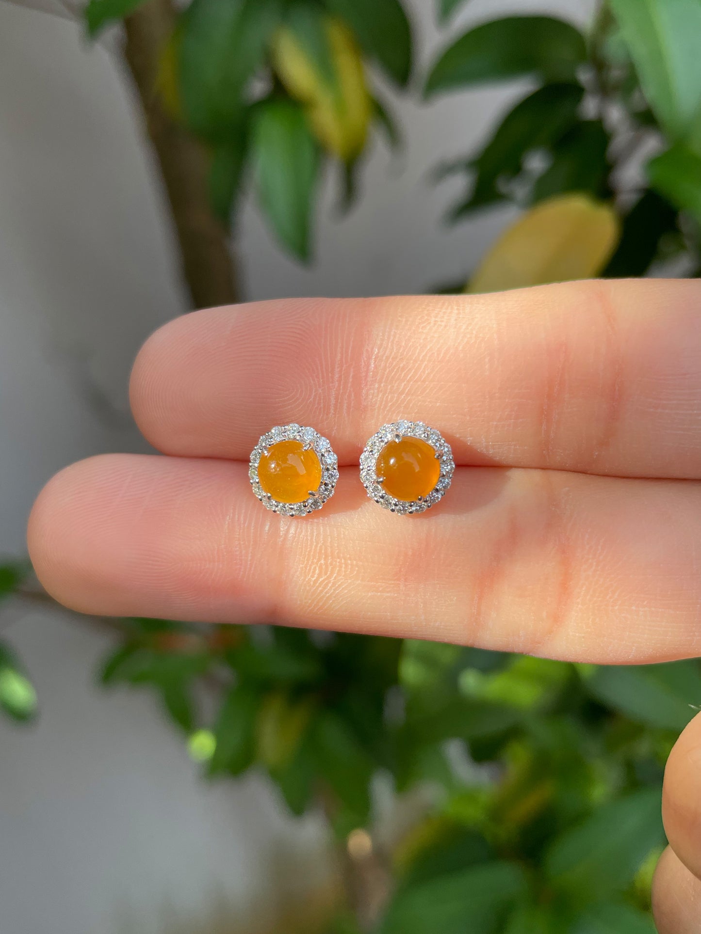 Icy Orangy Yellow Jade Earrings - Cabochons (NJE056)