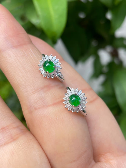 Green Jadeite Earrings (NJE075)