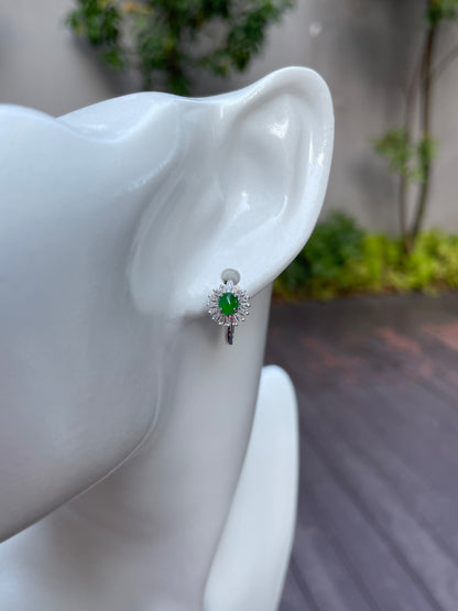 Green Jadeite Earrings (NJE075)