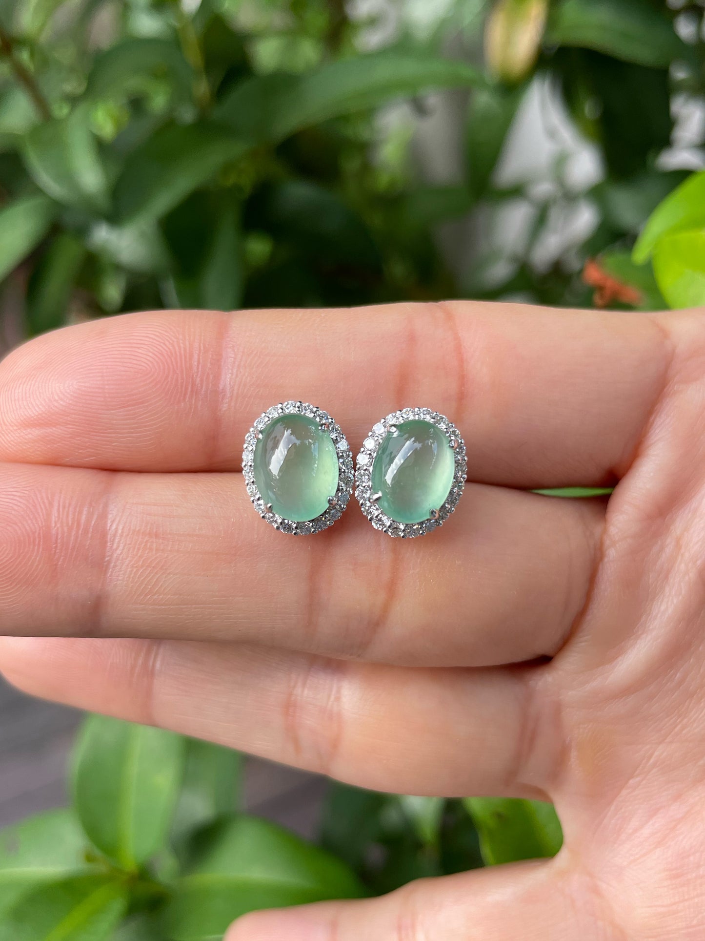 Icy Green Jade Cabochon Earrings (NJE082)