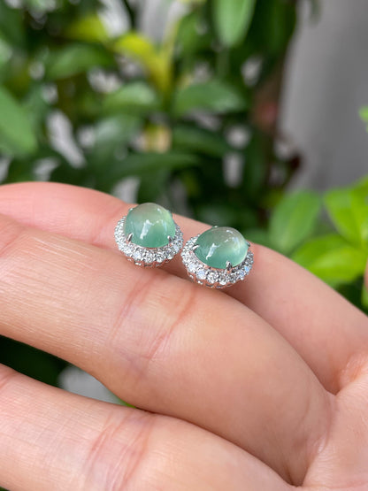 Icy Green Jade Cabochon Earrings (NJE082)