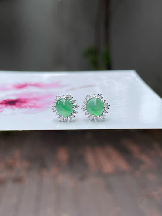 Icy Green Jadeite Cabochon Earrings (NJE102)