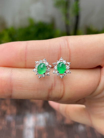 Green Jadeite Earrings (NJE107)