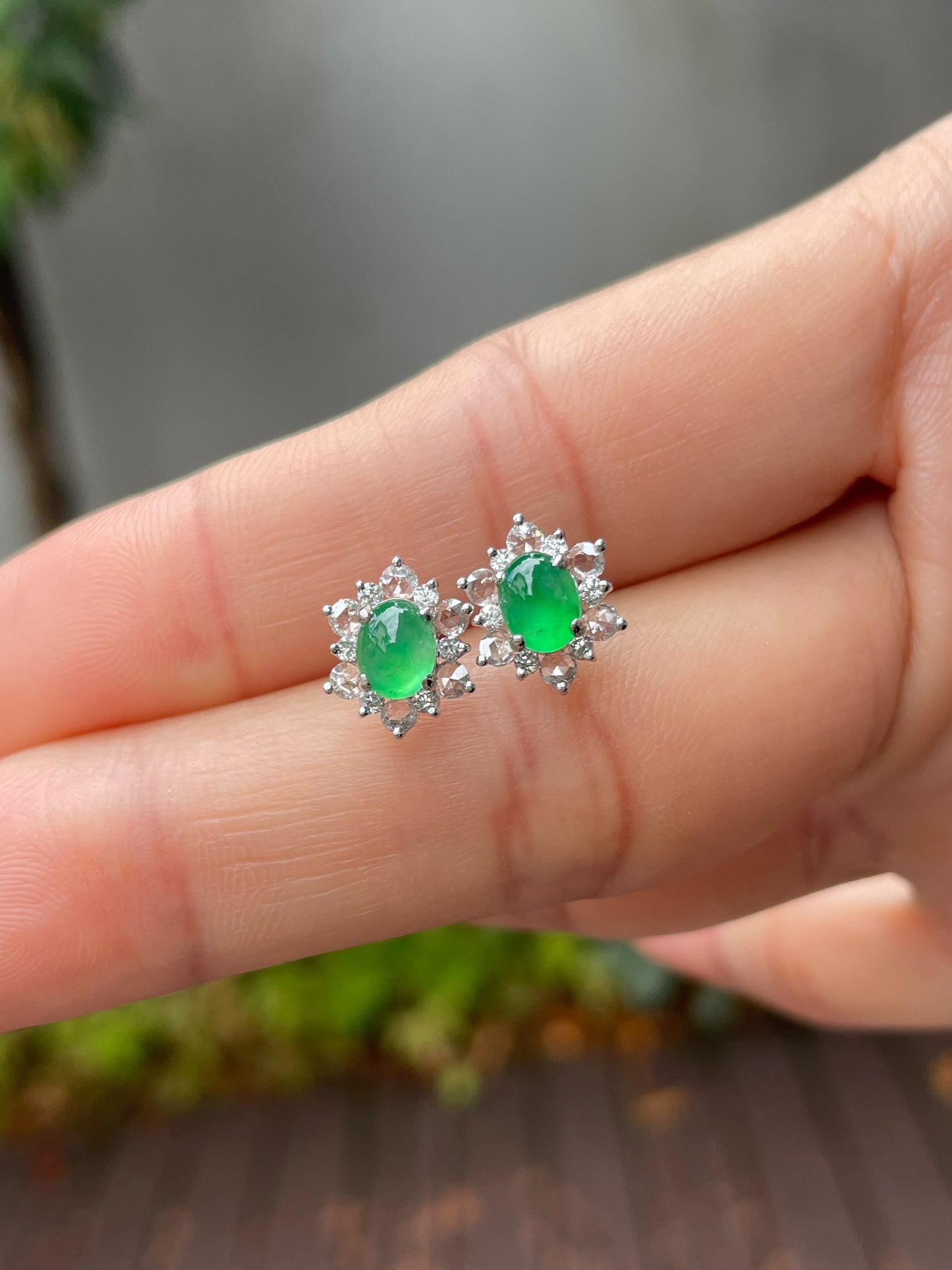 Green Jadeite Earrings (NJE107)