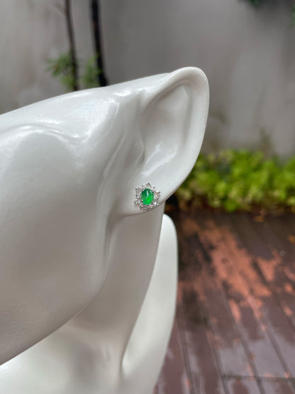 Green Jadeite Earrings (NJE107)