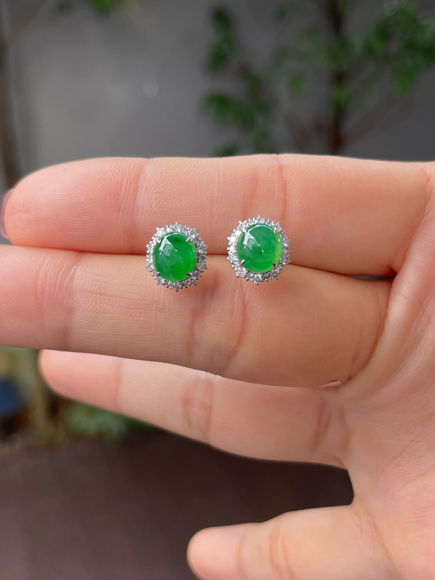 Green Jade Earrings - Cabochons (NJE119)