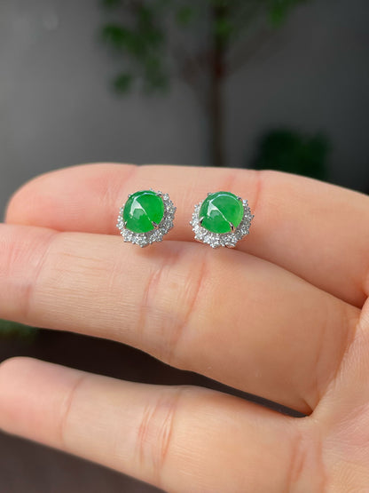 Green Jade Earrings - Cabochons (NJE119)