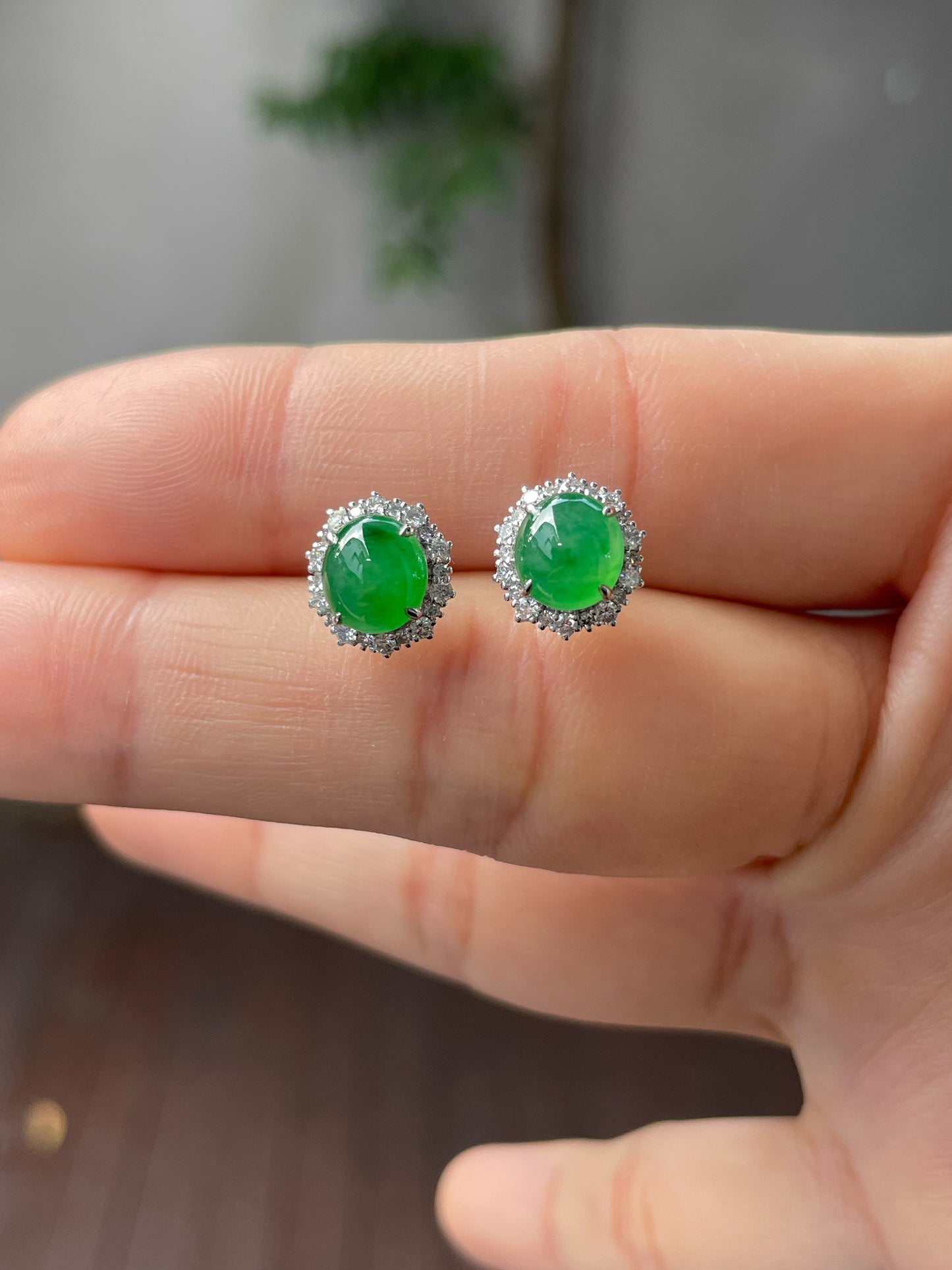 Green Jade Earrings - Cabochons (NJE119)