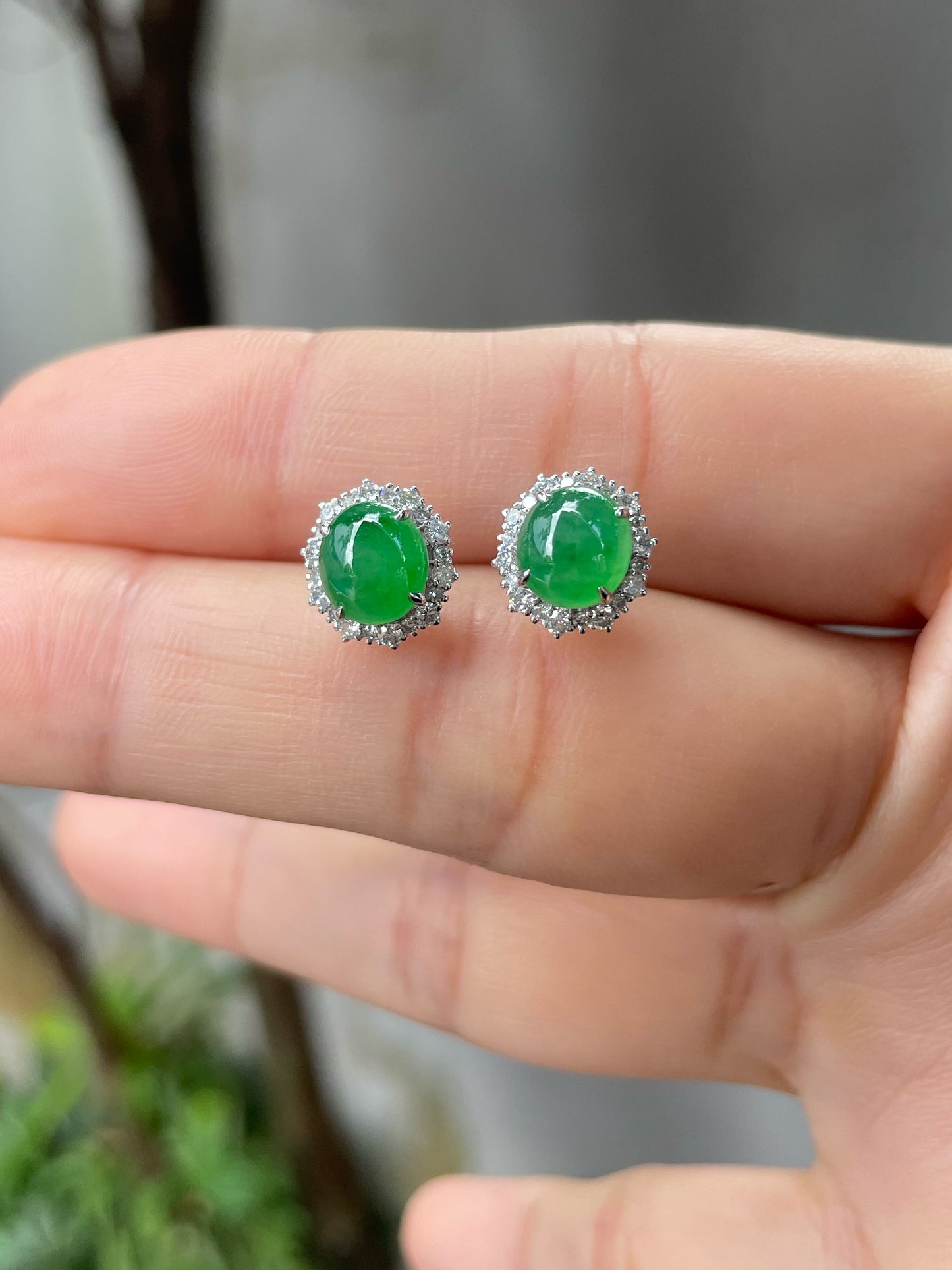 Green Jade Earrings - Cabochons (NJE119)