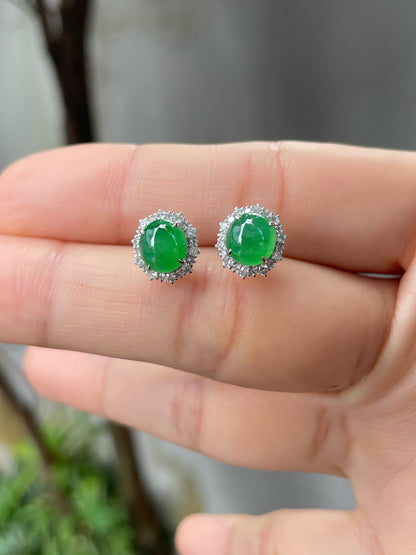 Green Jade Earrings - Cabochons (NJE119)