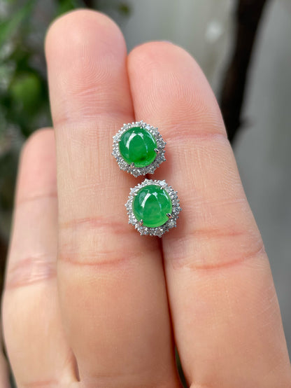 Green Jade Earrings - Cabochons (NJE119)