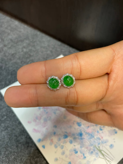 Green Jade Earrings - Cabochons (NJE119)