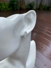 Load image into Gallery viewer, Icy Jade Earrings - Goldfish (NJE122)

