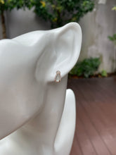 Load image into Gallery viewer, Glassy Jade Earrings - Teardrops (NJE131)
