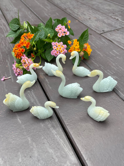 Jade Display - Swans (NJO003)