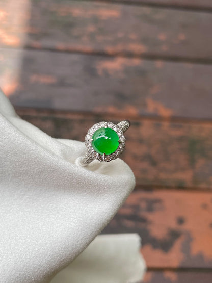 Icy Green Jadeite Cabochon Ring (NJR002)