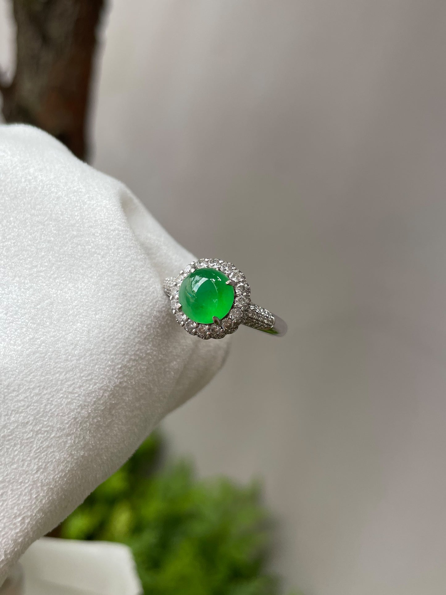 Icy Green Jadeite Cabochon Ring (NJR002)