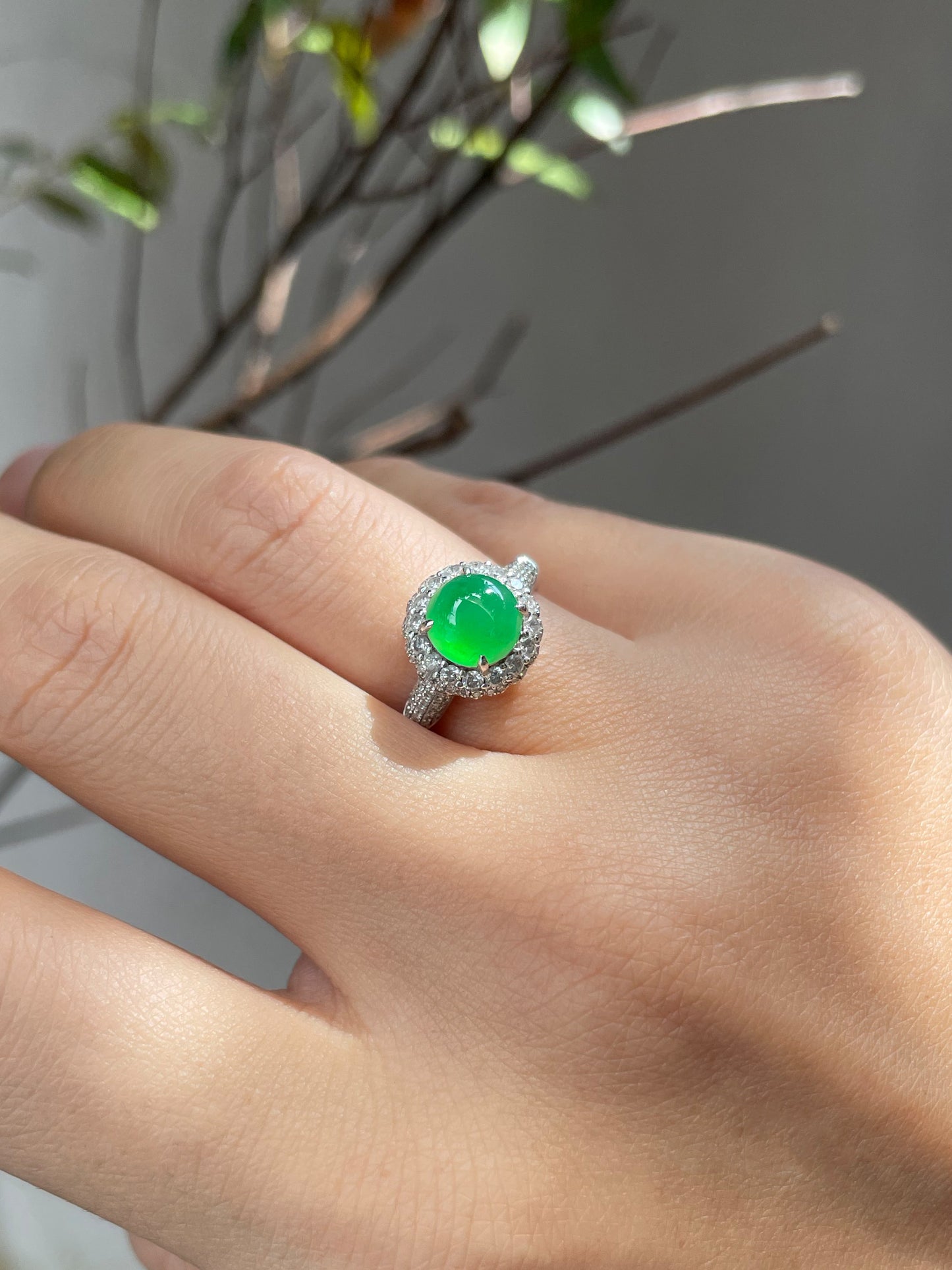 Icy Green Jadeite Cabochon Ring (NJR002)