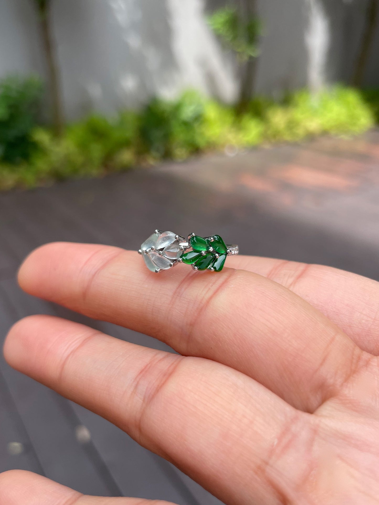 Icy and Green Jadeite Ring (NJR087)