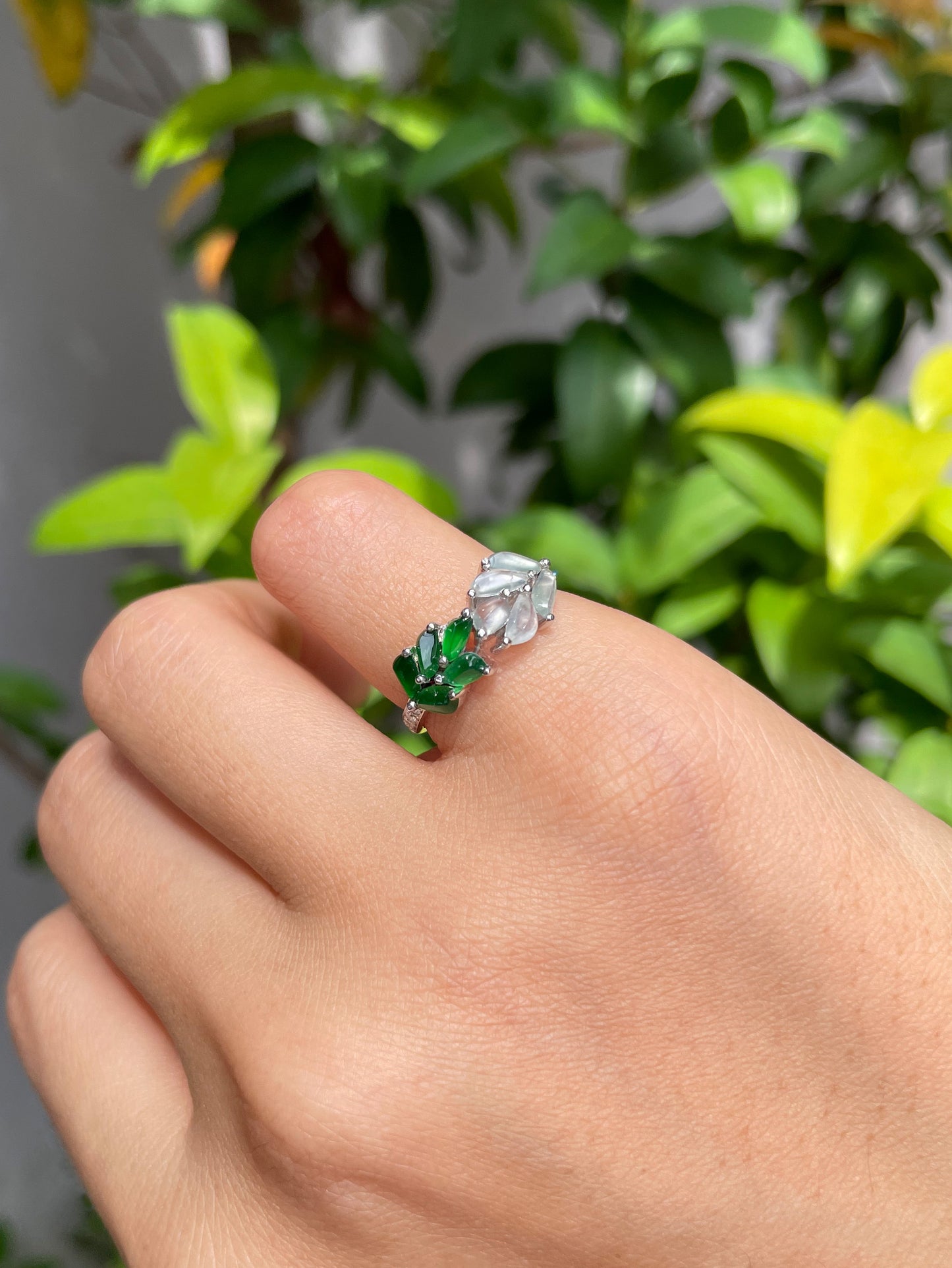 Icy and Green Jadeite Ring (NJR087)