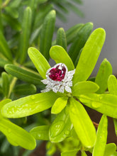 Load image into Gallery viewer, Unheated Ruby Ring - 1.08CT (NJR089)
