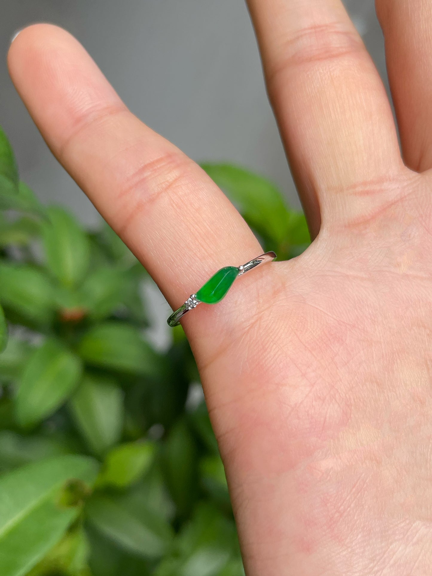 Green Jade Ring (NJR103)