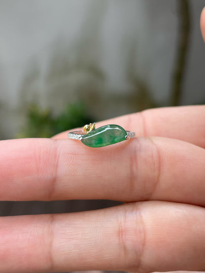 Icy Green Jade Ring - Snail (NJR149)