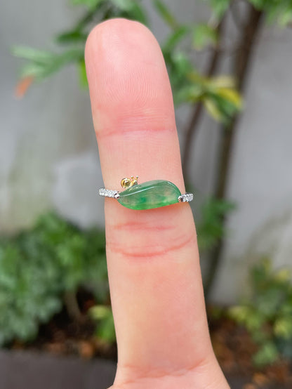 Icy Green Jade Ring - Snail (NJR149)