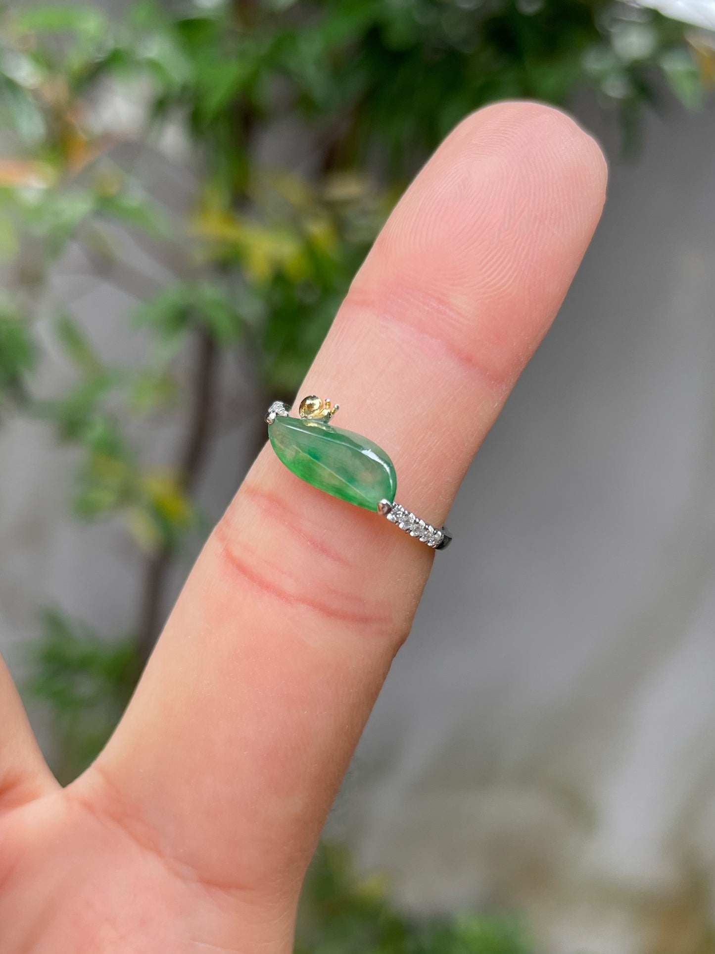 Icy Green Jade Ring - Snail (NJR149)