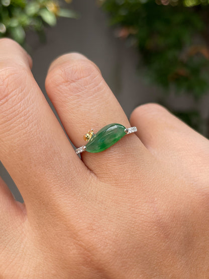 Icy Green Jade Ring - Snail (NJR149)