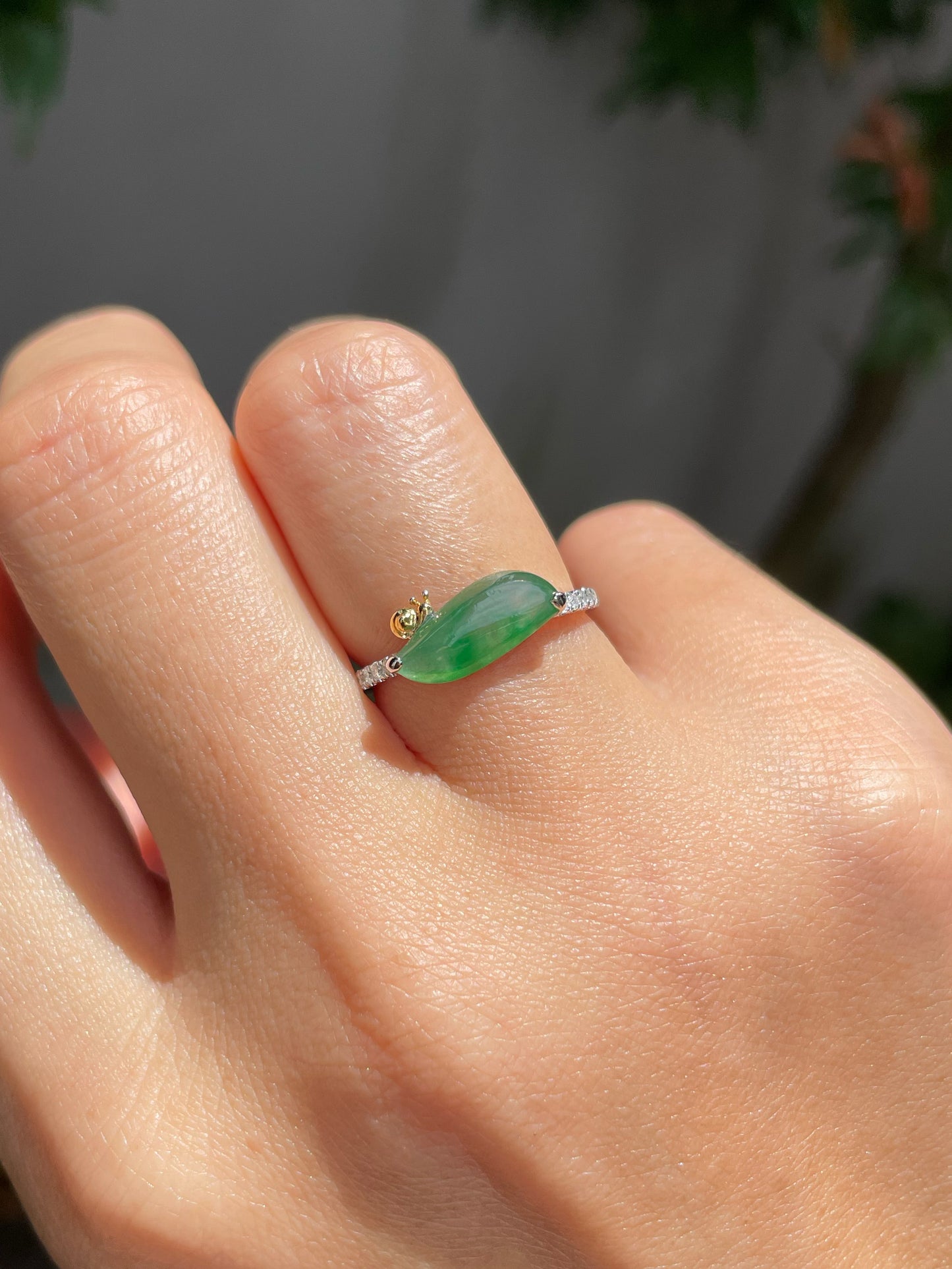 Icy Green Jade Ring - Snail (NJR149)