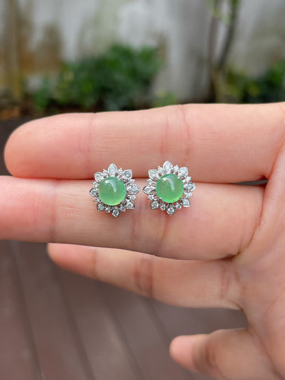 Icy Light Green Jadeite Cabochons Set - Ring & Earrings (NJS011)