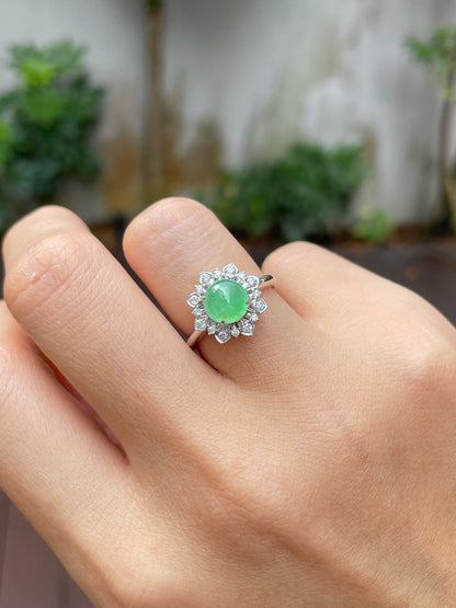 Icy Light Green Jadeite Cabochons Set - Ring & Earrings (NJS011)